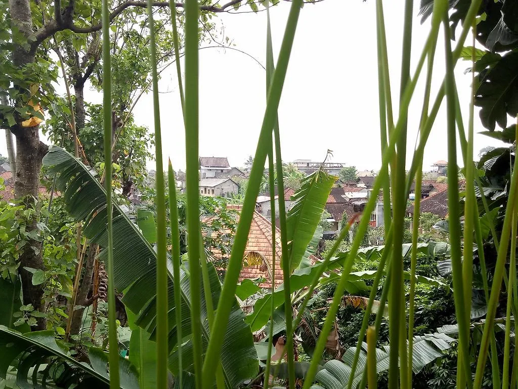Ambengan Guesthouse Ubud Affittacamere