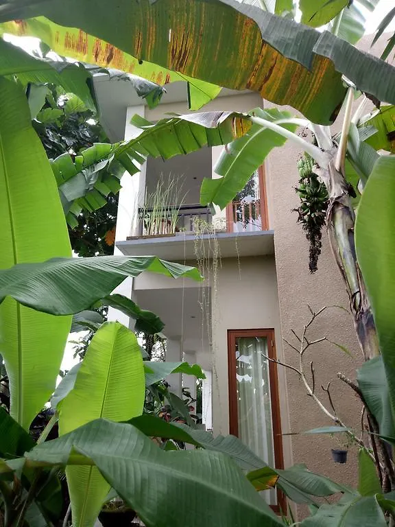 **** Affittacamere Ambengan Guesthouse Ubud Indonesia