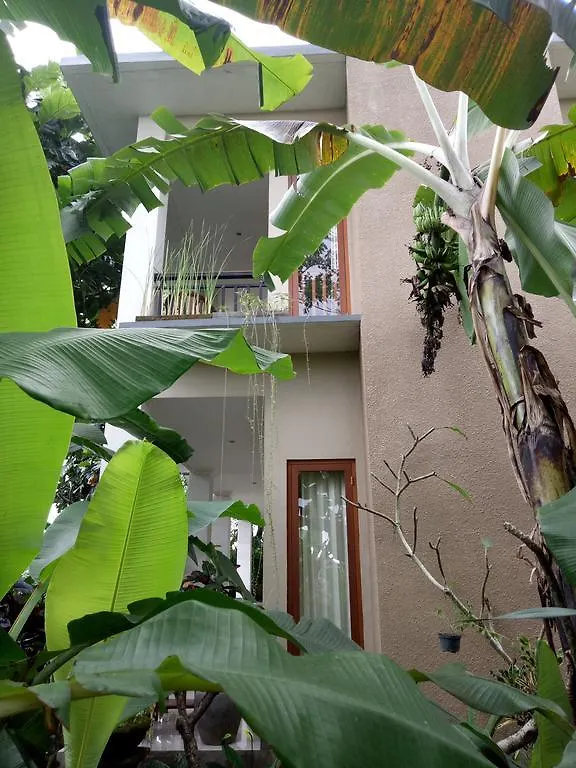 Ambengan Guesthouse Ubud