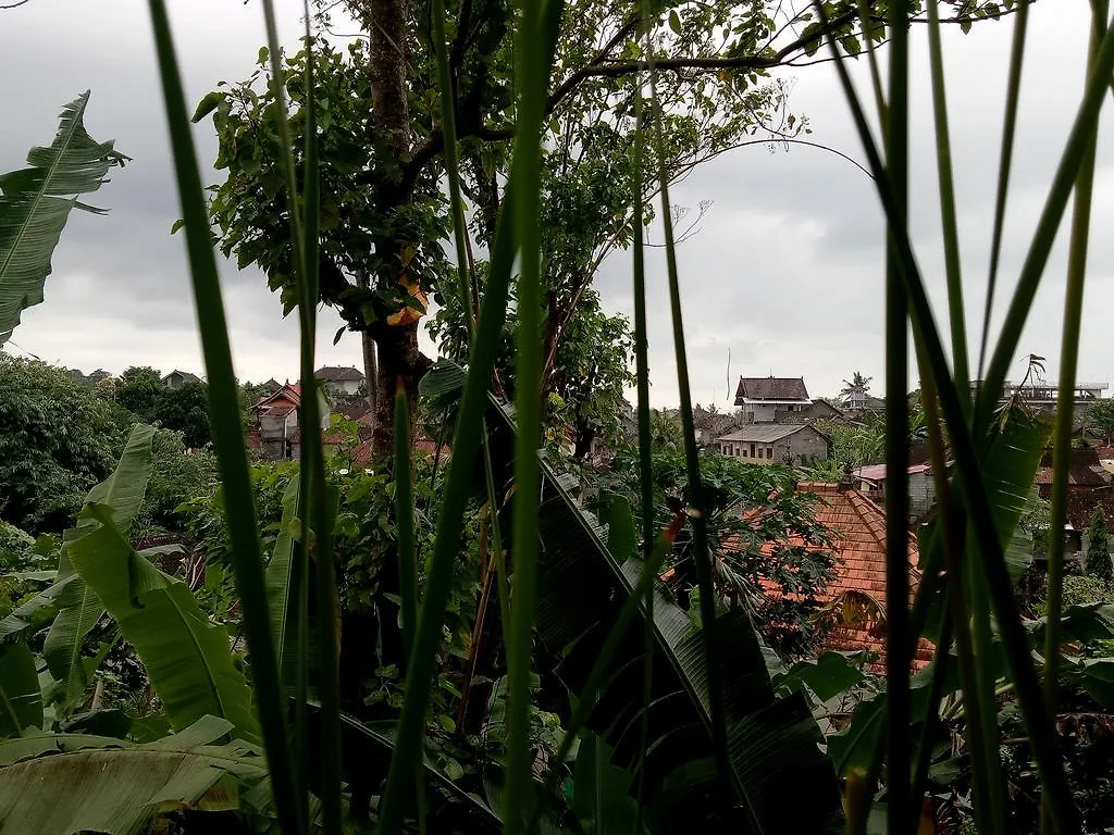 Penzion Ambengan Guesthouse Ubud